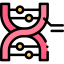 Пептиды