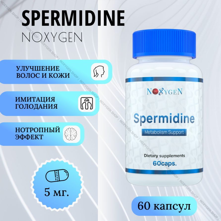 Spermidine