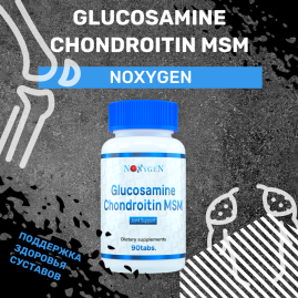 Glucosamine Chondroitin MSM