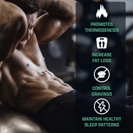 Nutrex Lipo-6 Stim-Free