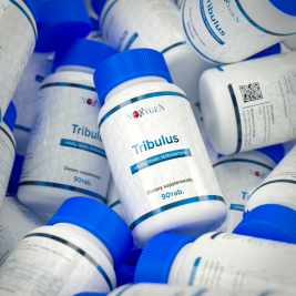 Tribulus (90% saponins)