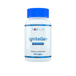 IgniteGen / АйгнитеГен
