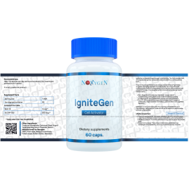 IgniteGen / АйгнитеГен
