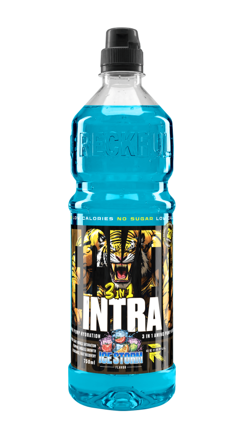 Напиток Intra Workout 3 in 1 Reckful ® 