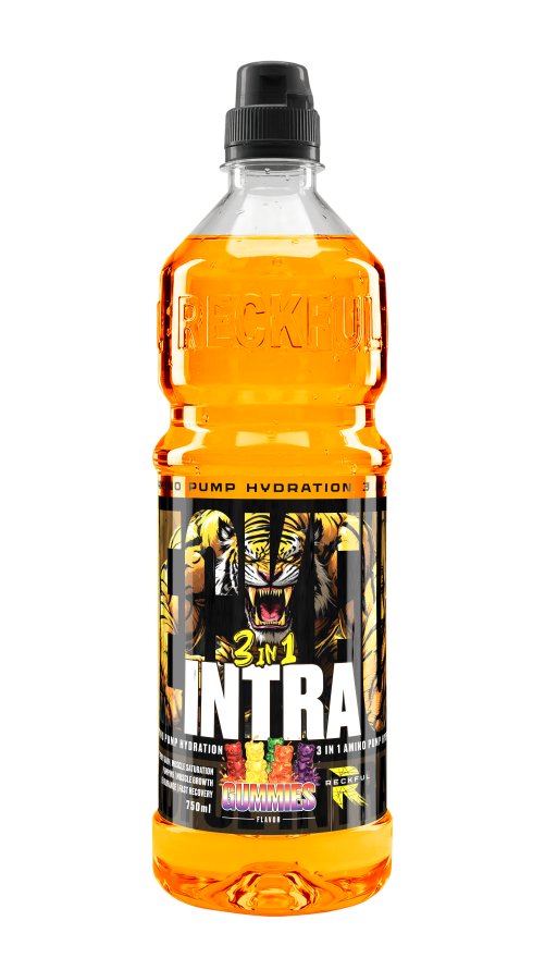 Напиток Intra Workout 3 in 1 Reckful ® 