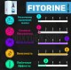 Fitorine (GW-0742)