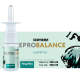 Reprobalance (KISSPEPTIN)