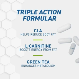 CLA+L-Carnitine+Green Tea Applied Nutrition