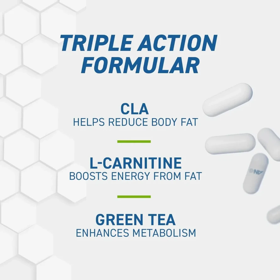 CLA+L-Carnitine+Green Tea Applied Nutrition