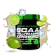 BCAA + Glutamine Xpress Scitec Nutrition 